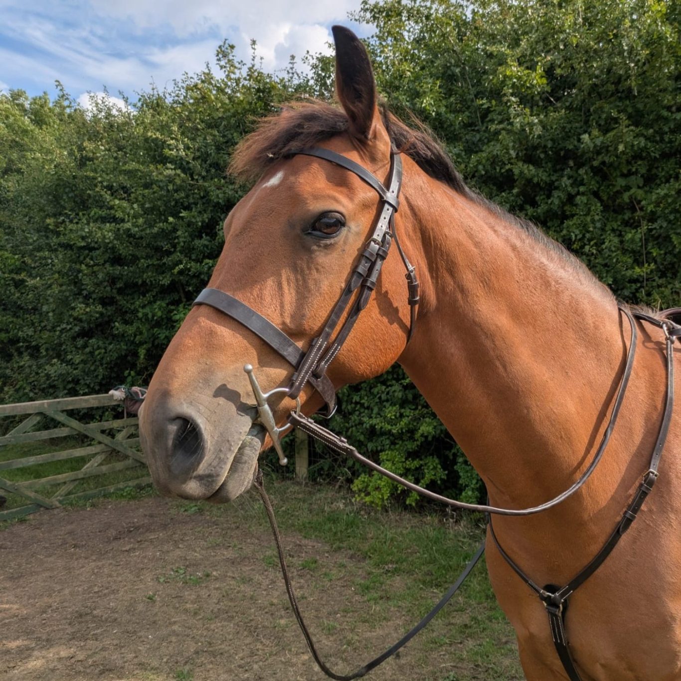 Leather motorcycle battery box